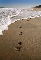 Home. foot prints in the sand